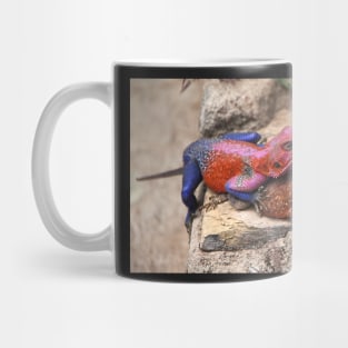 East African Rainbow Agama Lizards Mating Mug